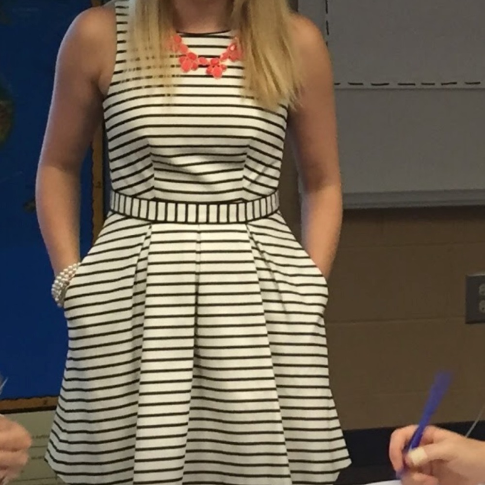 The Limited(original)-white and navy stripes